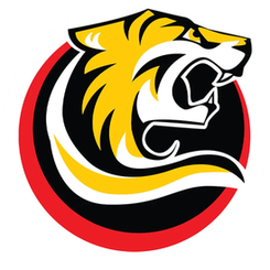 基尔塞斯眼镜蛇